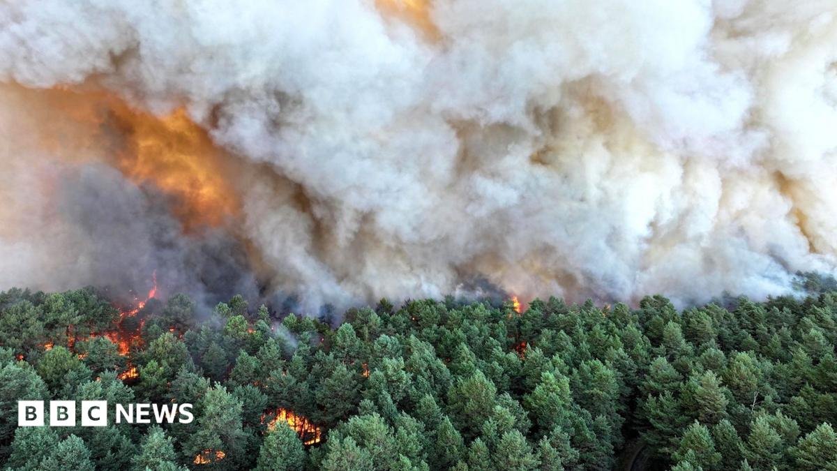 Firefighting Planes Deployed Near Paris as Wildfires Turn 'Exceptional'