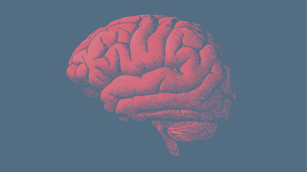 Tau and the Blood-Brain Barrier Take Center Stage in Alzheimer's Research