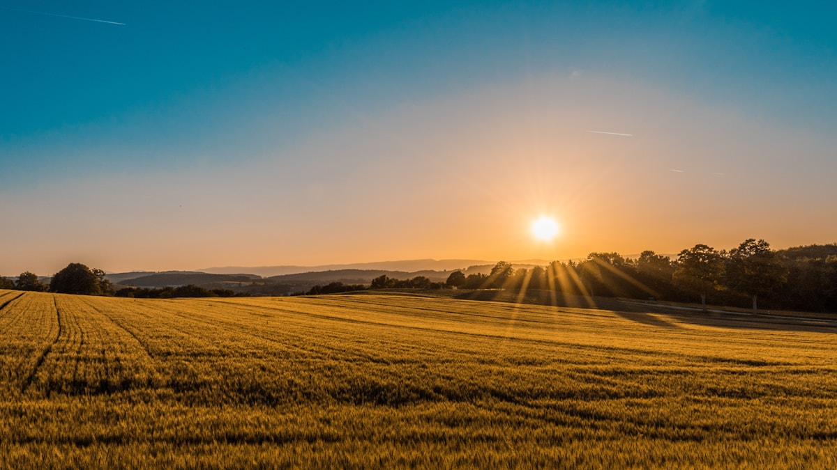 Open fields and sky, suggesting land use and climate resilience.